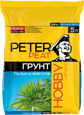 Пальмы и фикусы - фото 5324