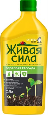 Здоровая рассада - фото 5377