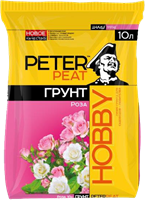 Роза